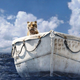 Image for article titled Movies to Watch (or Avoid) in Theaters This Weekend